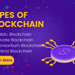 Types of Blockchain You Should Know About